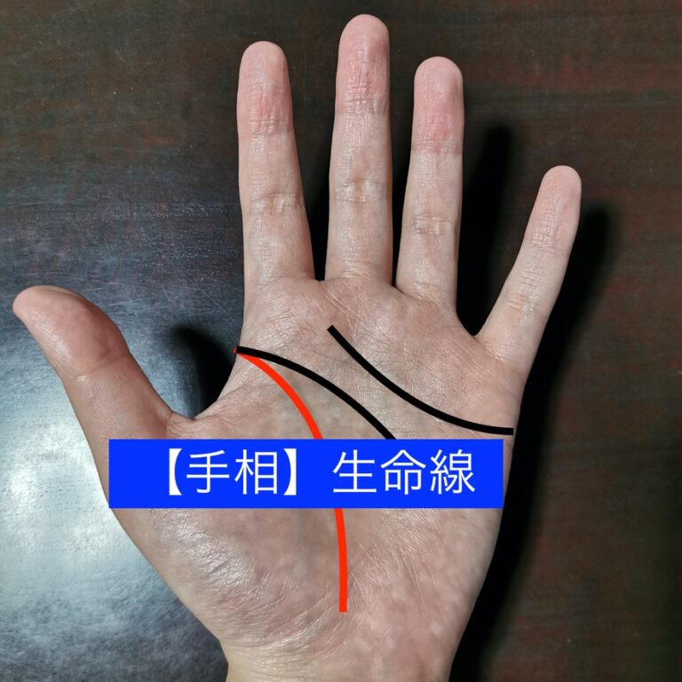 【手相】生命線の見方 ② | ルッチんブログ